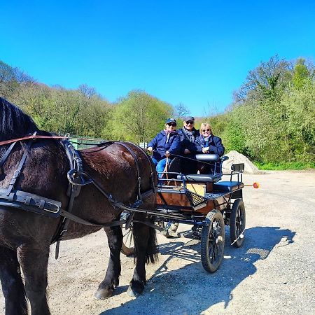 Eco-Gite La Chambre Du Vanneur Mentheville Bagian luar foto