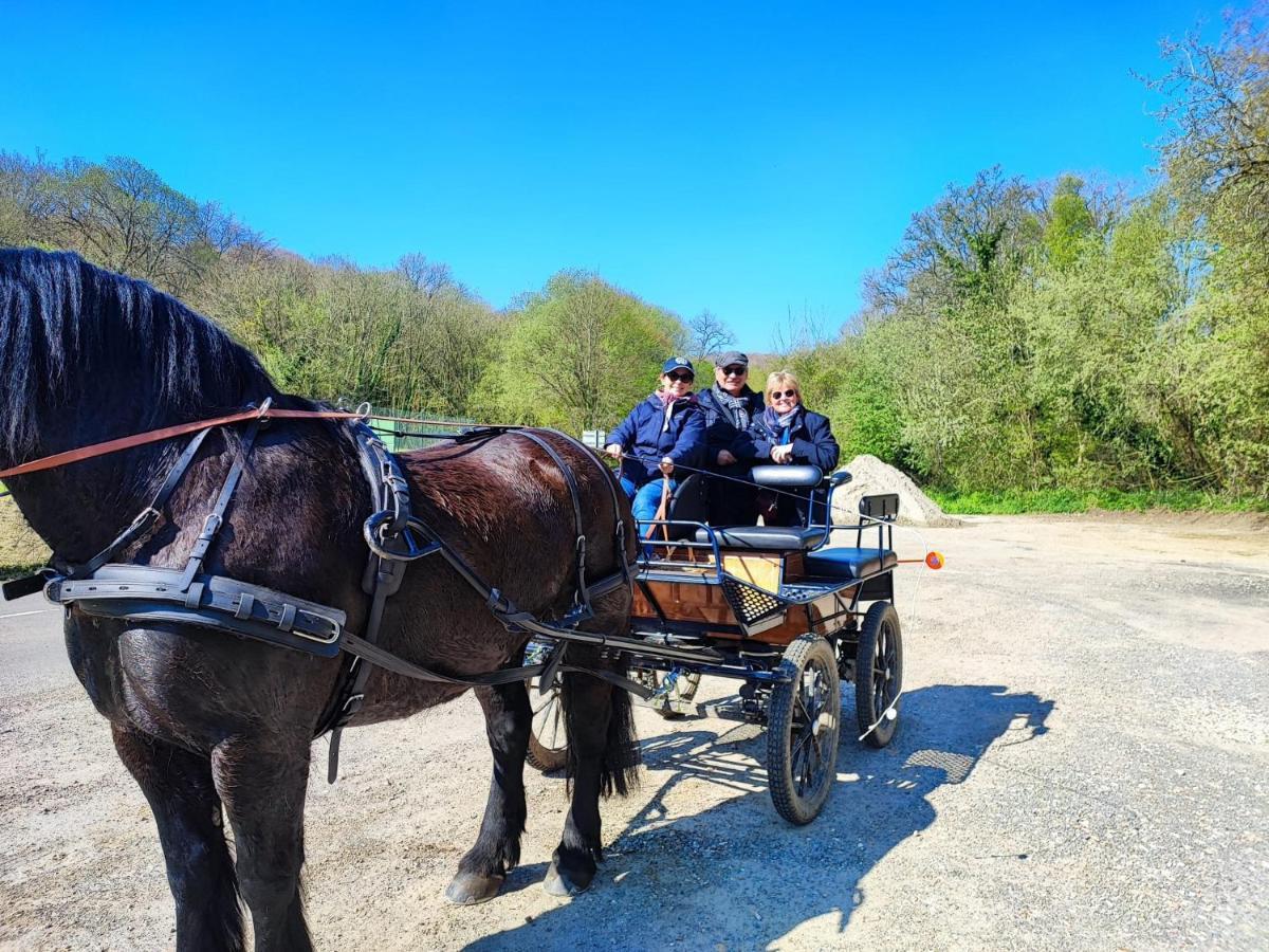 Eco-Gite La Chambre Du Vanneur Mentheville Bagian luar foto